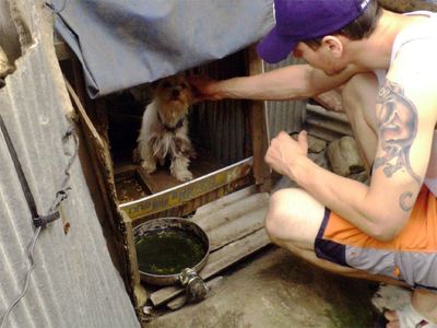 Man crouches to pet small dog inside dog house